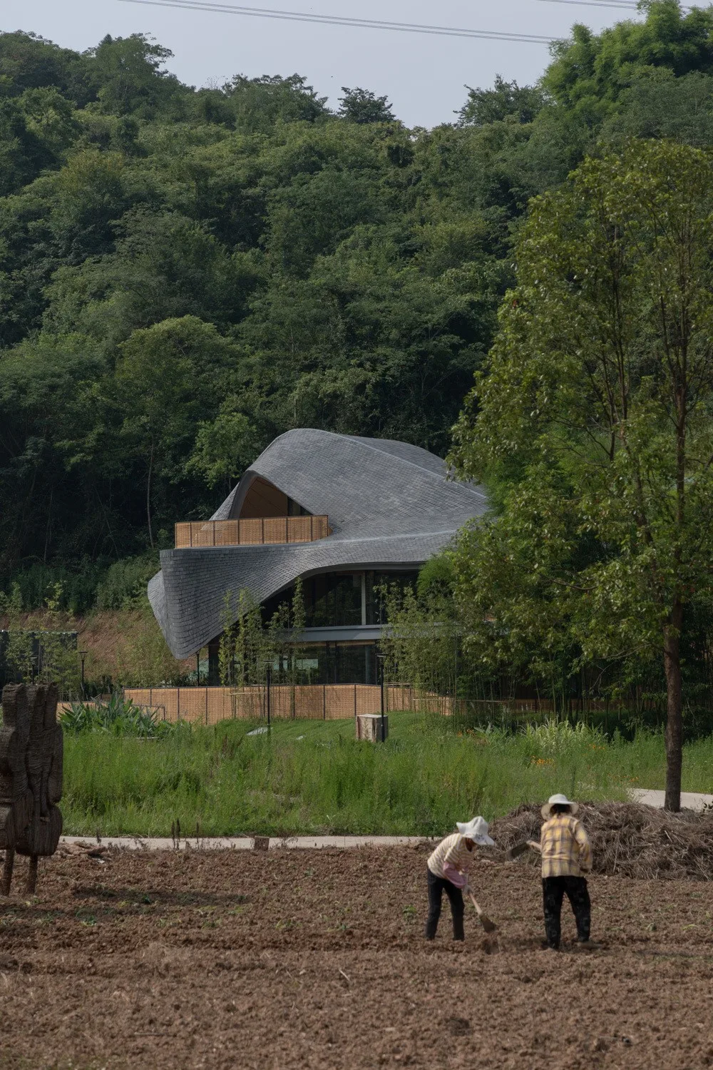 BIM Architecture | "Linpan Yunyan" Sichuan Dayi Rural Neighborhood Center/Chuangmeng International