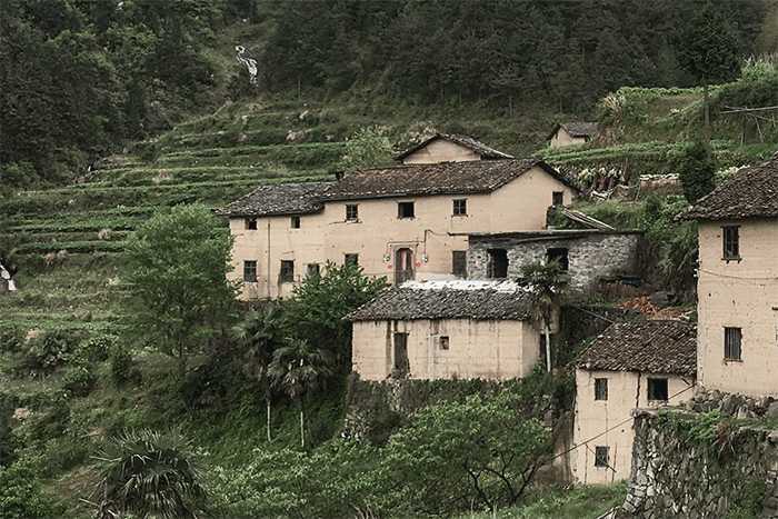 BIM Architecture | The New Life of Yaju Ancient Village: Songyang Feiyiji Phase II/Meng Fanhao line+Architecture Firm