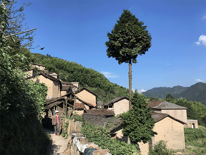 BIM Architecture | The New Life of Yaju Ancient Village: Songyang Feiyiji Phase II/Meng Fanhao line+Architecture Firm