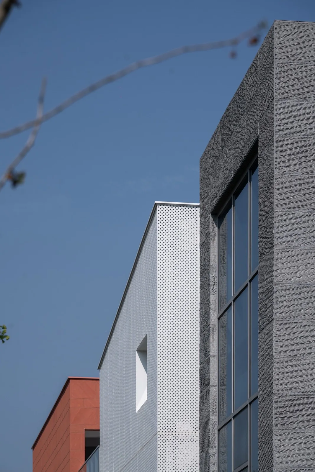BIM Architecture | Haining Chang'an International Flower Industry Park/Forest Architecture+Park Architecture