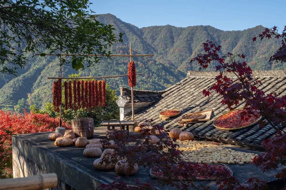 BIM Architecture | Village Culture: brick by brick, rediscovering nostalgia, Wuyuan Huangling Construction Record/Wuyuan County Village Culture Media Co., Ltd