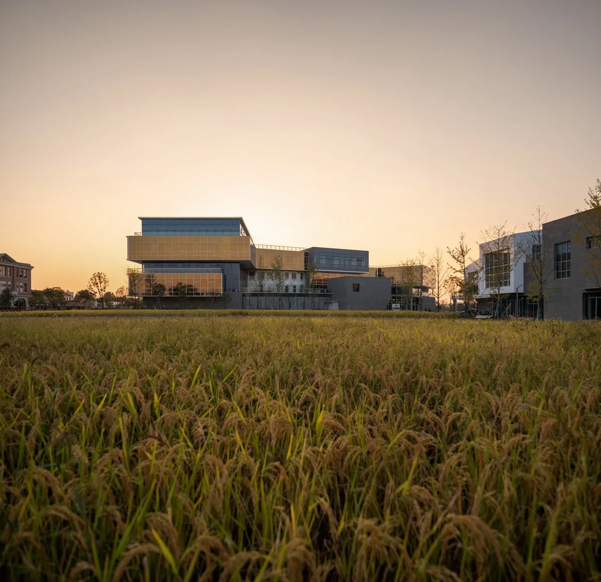 BIM Architecture | Haining Chang'an International Flower Industry Park/Forest Architecture+Park Architecture