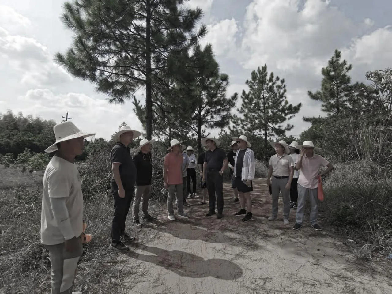 BIM Architecture | Village Culture: brick by brick, rediscovering nostalgia, Wuyuan Huangling Construction Record/Wuyuan County Village Culture Media Co., Ltd