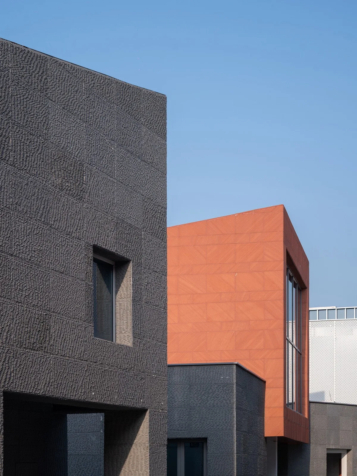 BIM Architecture | Haining Chang'an International Flower Industry Park/Forest Architecture+Park Architecture