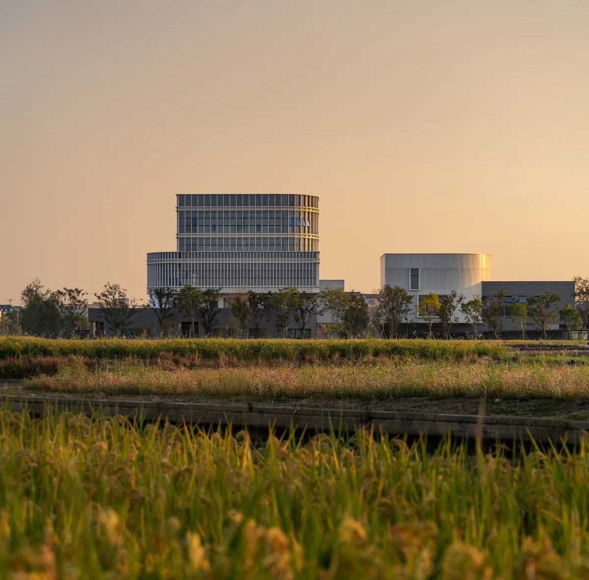 BIM Architecture | Haining Chang'an International Flower Industry Park/Forest Architecture+Park Architecture