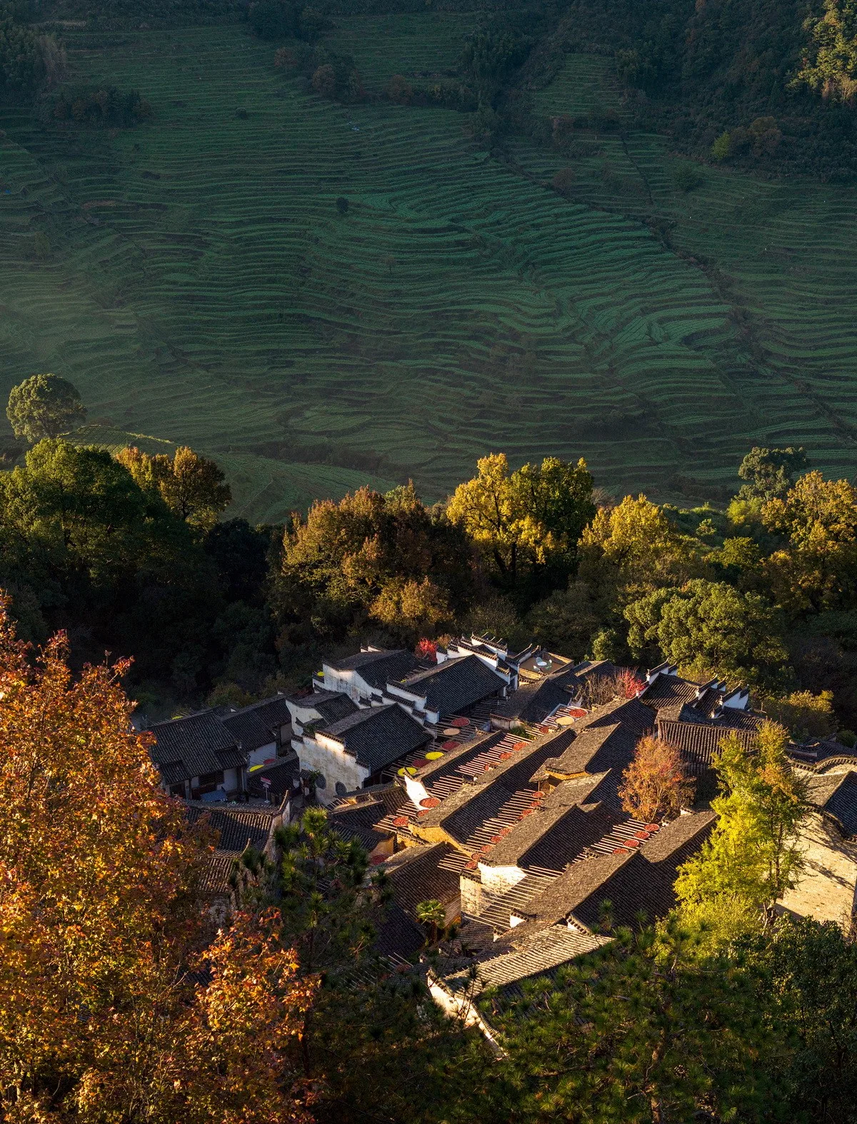 BIM Architecture | Village Culture: brick by brick, rediscovering nostalgia, Wuyuan Huangling Construction Record/Wuyuan County Village Culture Media Co., Ltd