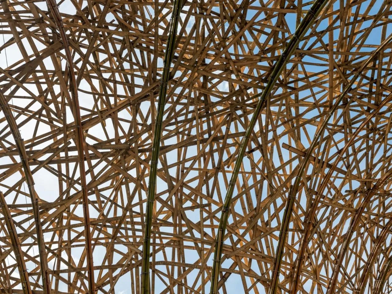 BIM Architecture | 'Pupa' Entrance Exhibition Hall/Cave Urban