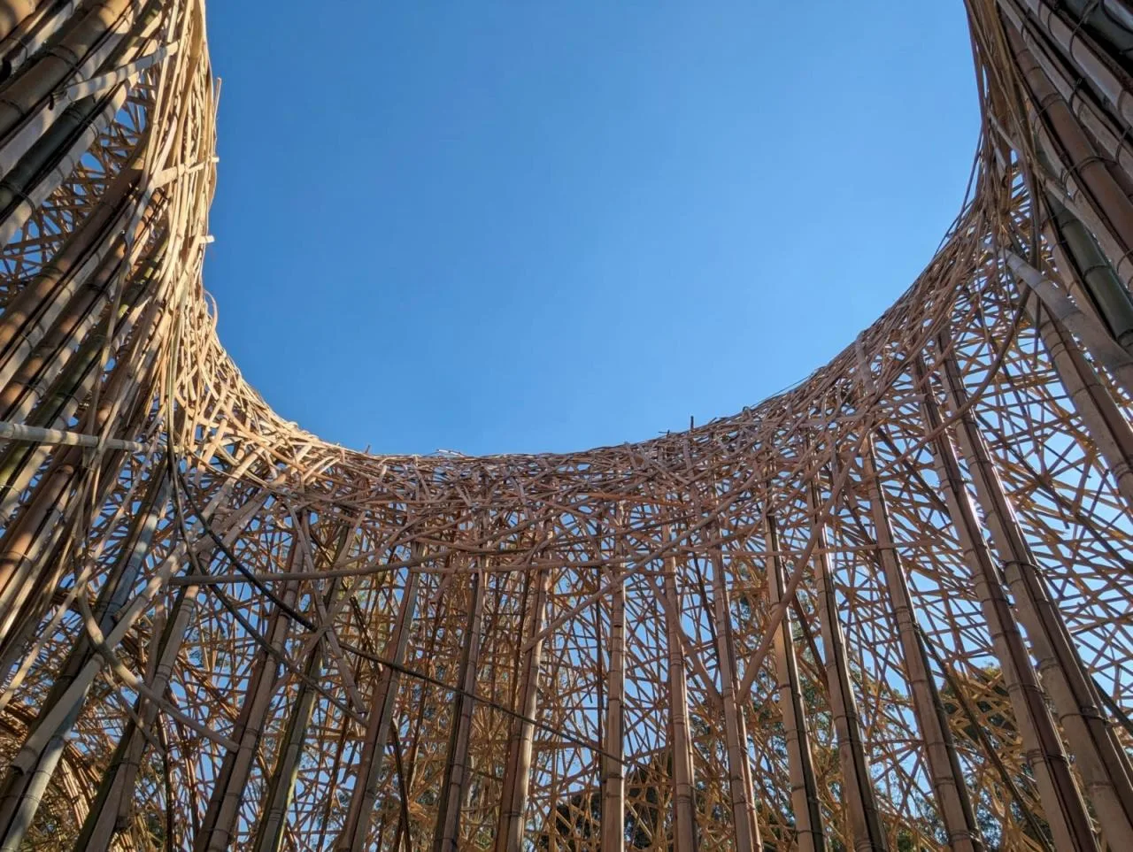 BIM Architecture | 'Pupa' Entrance Exhibition Hall/Cave Urban