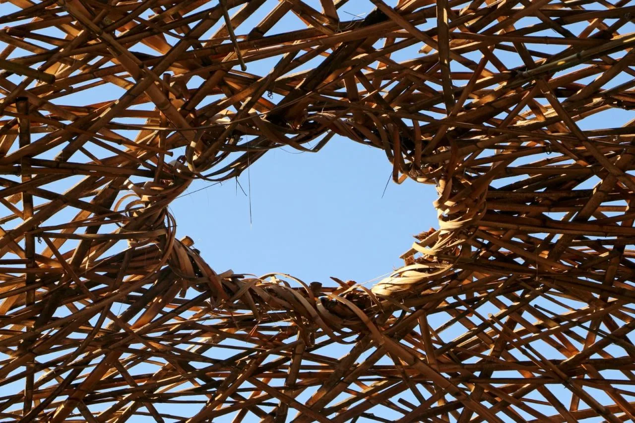 BIM Architecture | 'Pupa' Entrance Exhibition Hall/Cave Urban