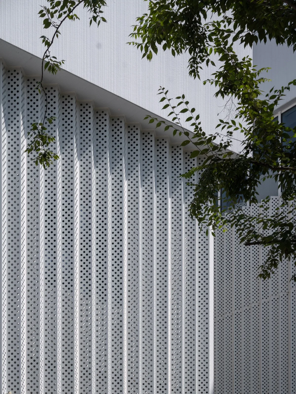 BIM Architecture | Haining Chang'an International Flower Industry Park/Forest Architecture+Park Architecture