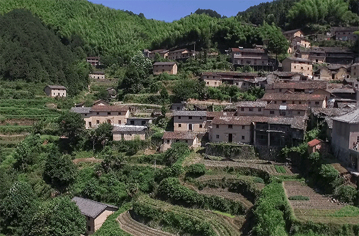 BIM Architecture | The New Life of Yaju Ancient Village: Songyang Feiyiji Phase II/Meng Fanhao line+Architecture Firm