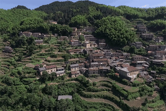 BIM Architecture | The New Life of Yaju Ancient Village: Songyang Feiyiji Phase II/Meng Fanhao line+Architecture Firm