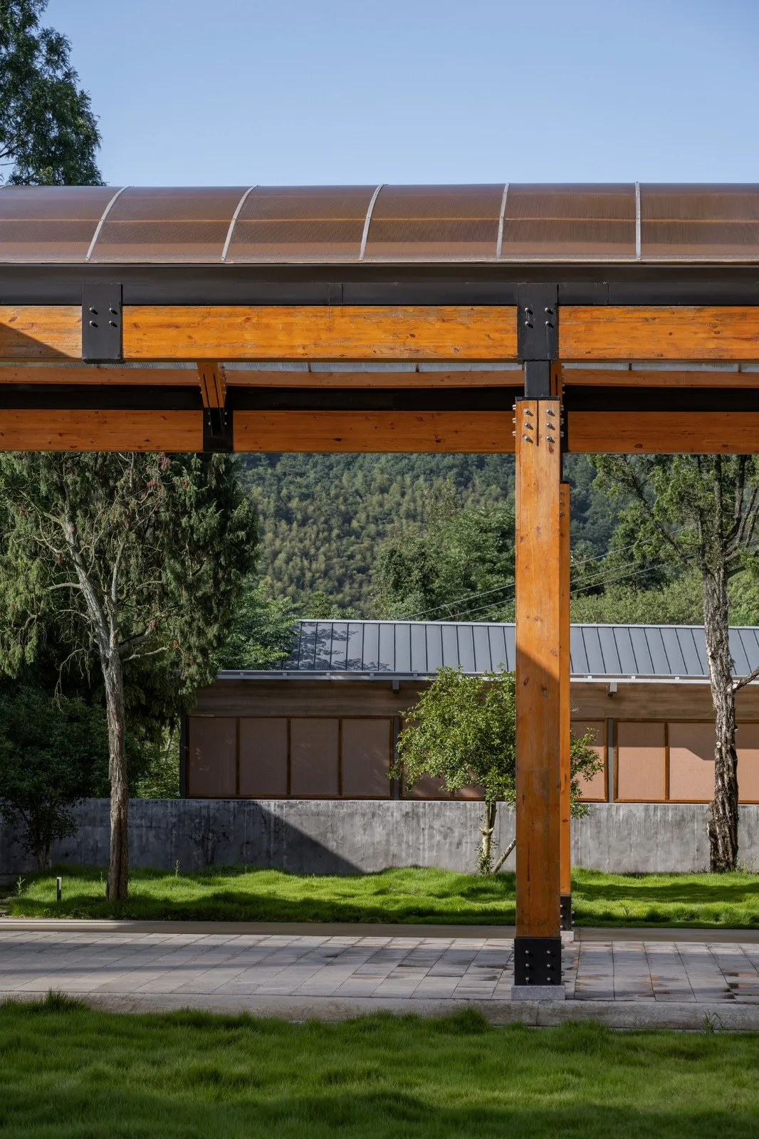 BIM Architecture | Shaoxing Sun'ao Primary School Renovation/Construction of Buildings