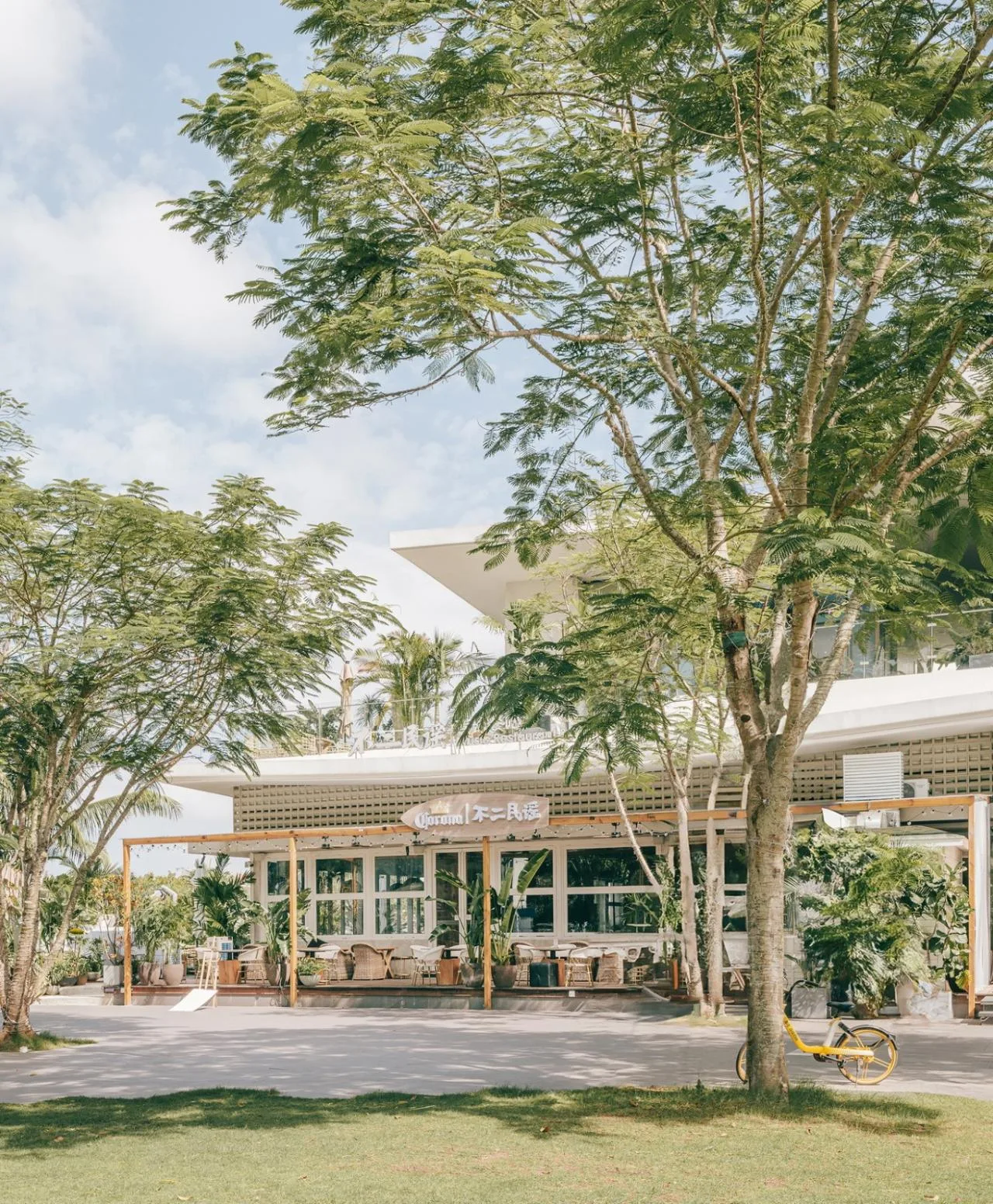 BIM Architecture | Century Cape Commercial Street/Large Material Building