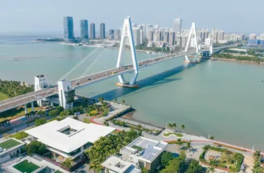 BIM Architecture: Century Cape Commercial Street and Large Material Building Design-BIM WORLD