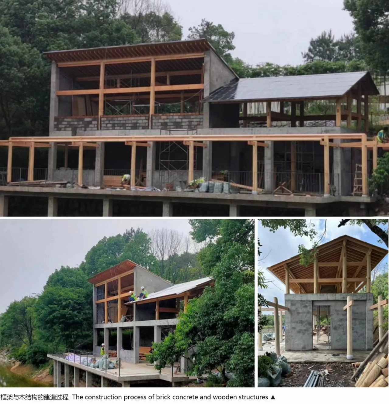 BIM Architecture | Dashali Rural Coffee Bookstore/Tour Building