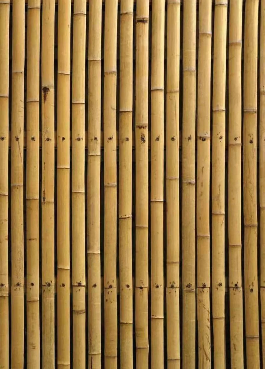BIM Architecture | Is there a way to go to Suzhou and Hangzhou on May Day, just to see the architecture without going to crowded scenic spots?