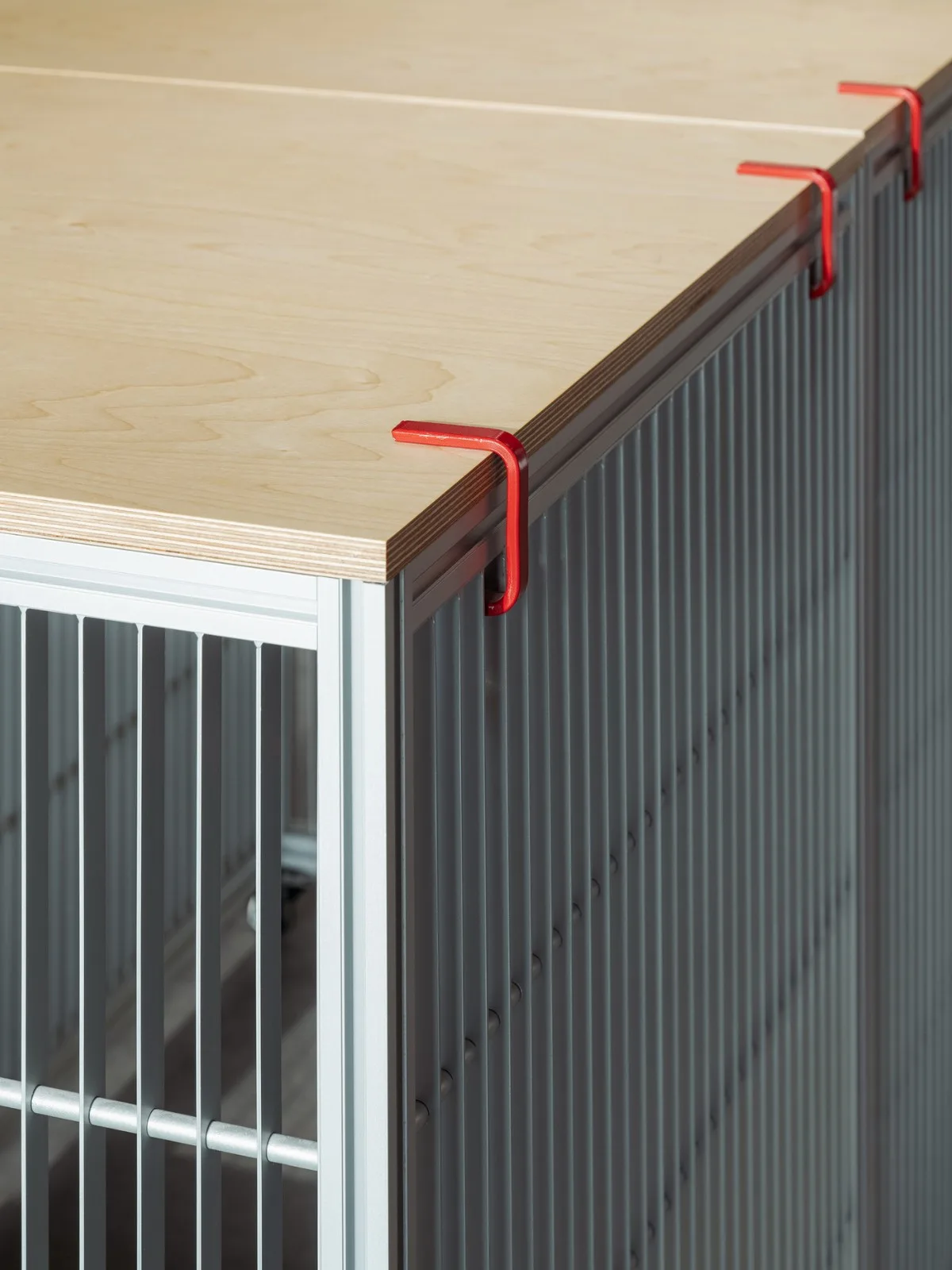 BIM Architecture | Red Dot Design Museum · Xiamen/STEPS Large Staircase Architecture