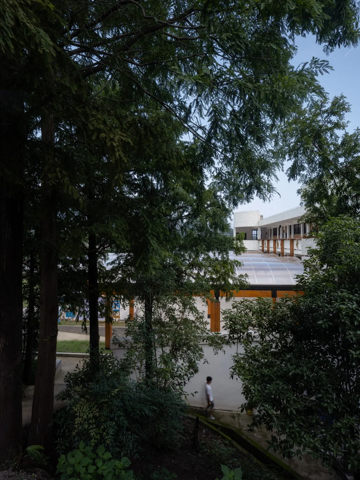 BIM Architecture | Shaoxing Sun'ao Primary School Renovation/Construction of Buildings