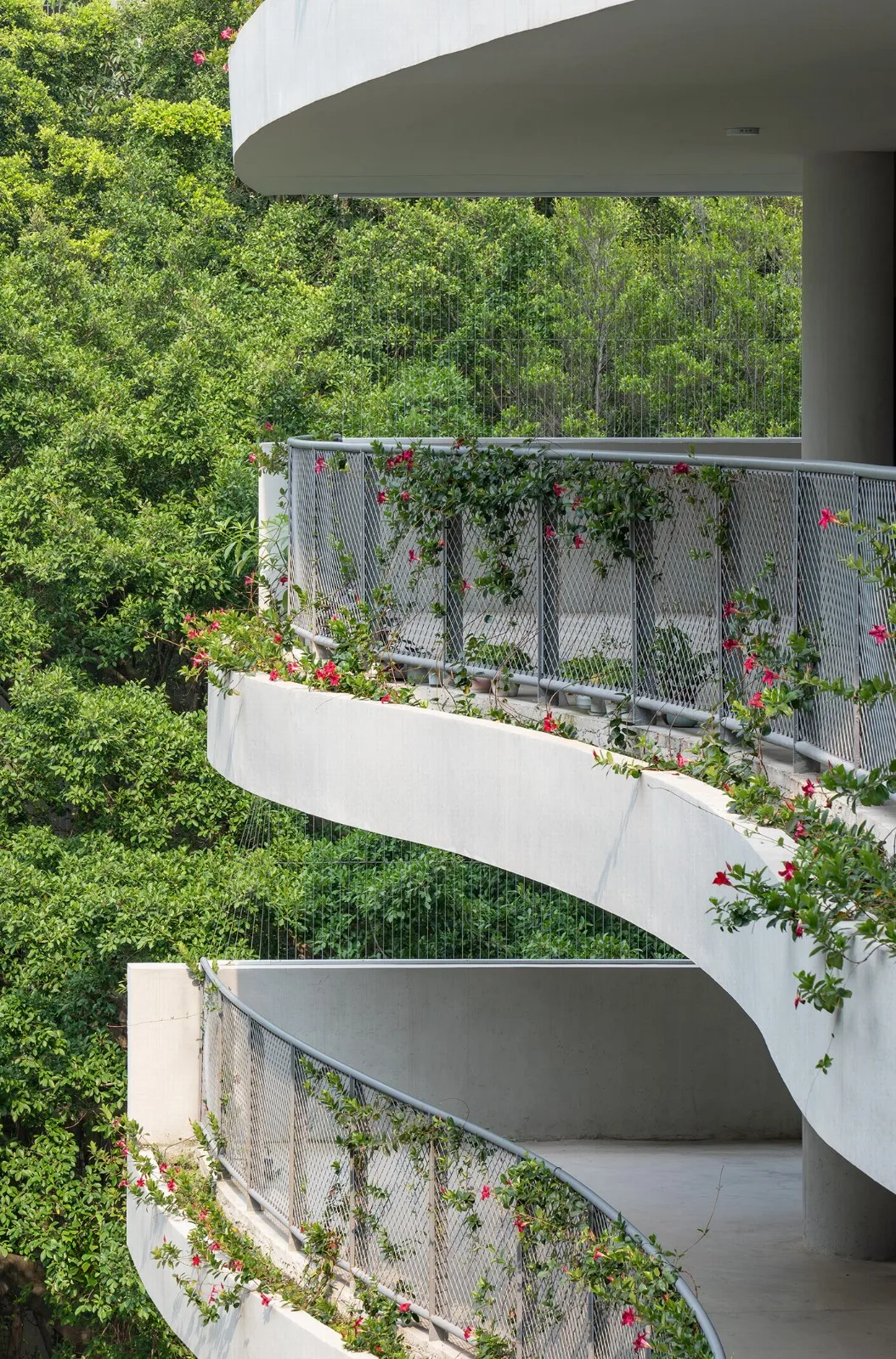 BIM Architecture | Jinglong Elementary School/Extraordinary Architecture