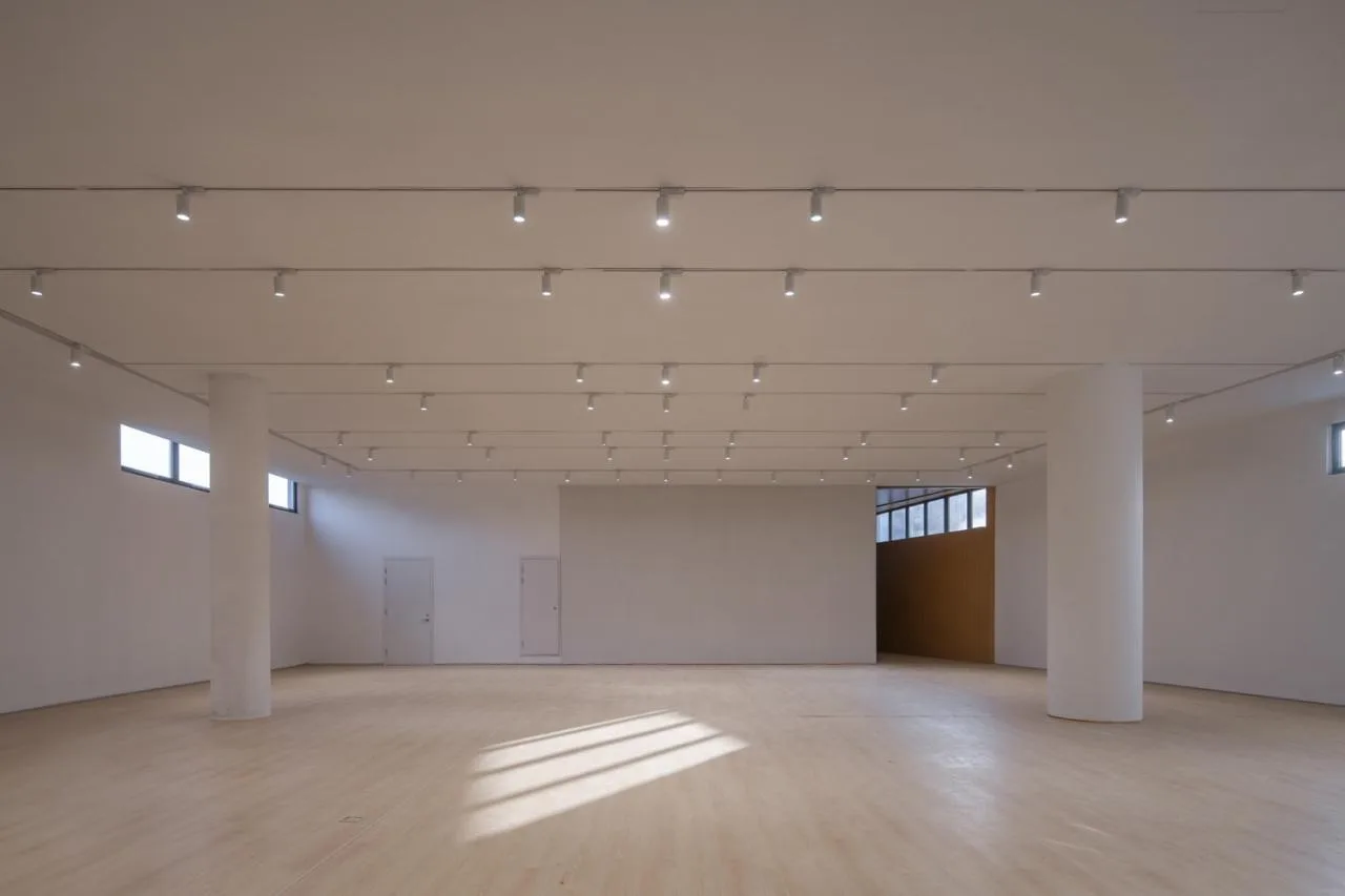 BIM Architecture | Lishui's Largest Art Complex: Guyan Painting Village Art Center/Meng Fanhao Line+Architectural Firm