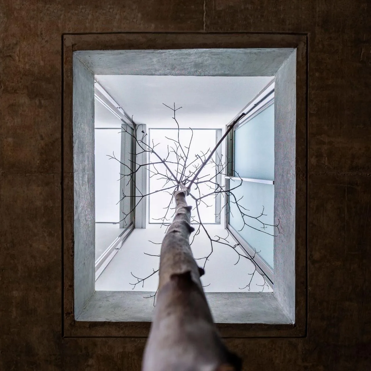 BIM Architecture | Subtraction House/FGMF