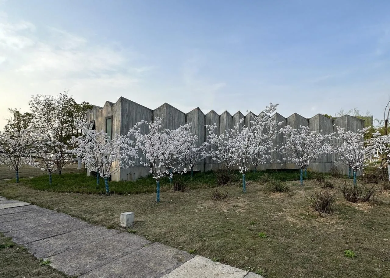BIM Architecture | The first phase of the Liangzhu Campus of China Academy of Art is fully completed/an extraordinary building