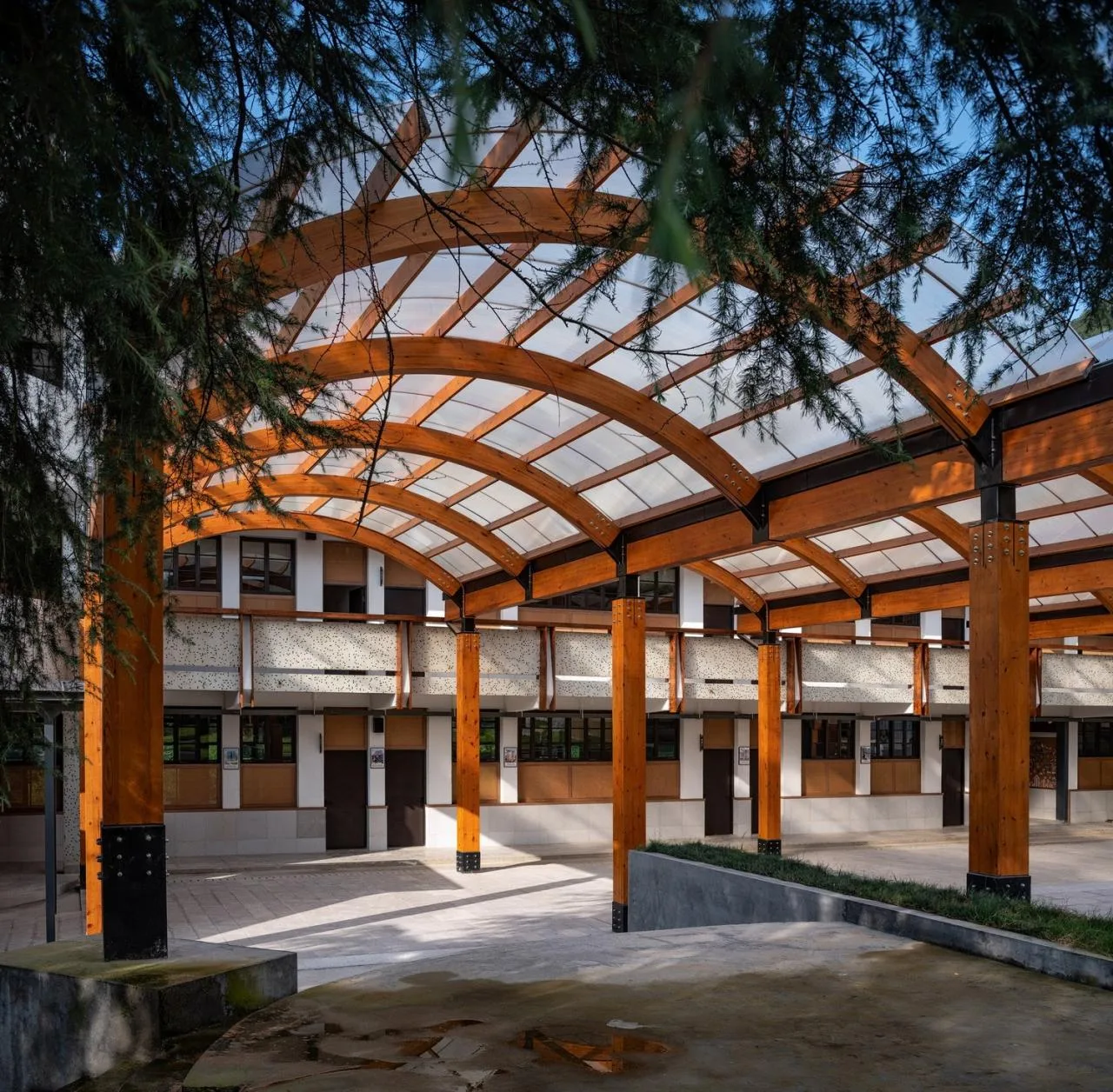 BIM Architecture | Shaoxing Sun'ao Primary School Renovation/Construction of Buildings
