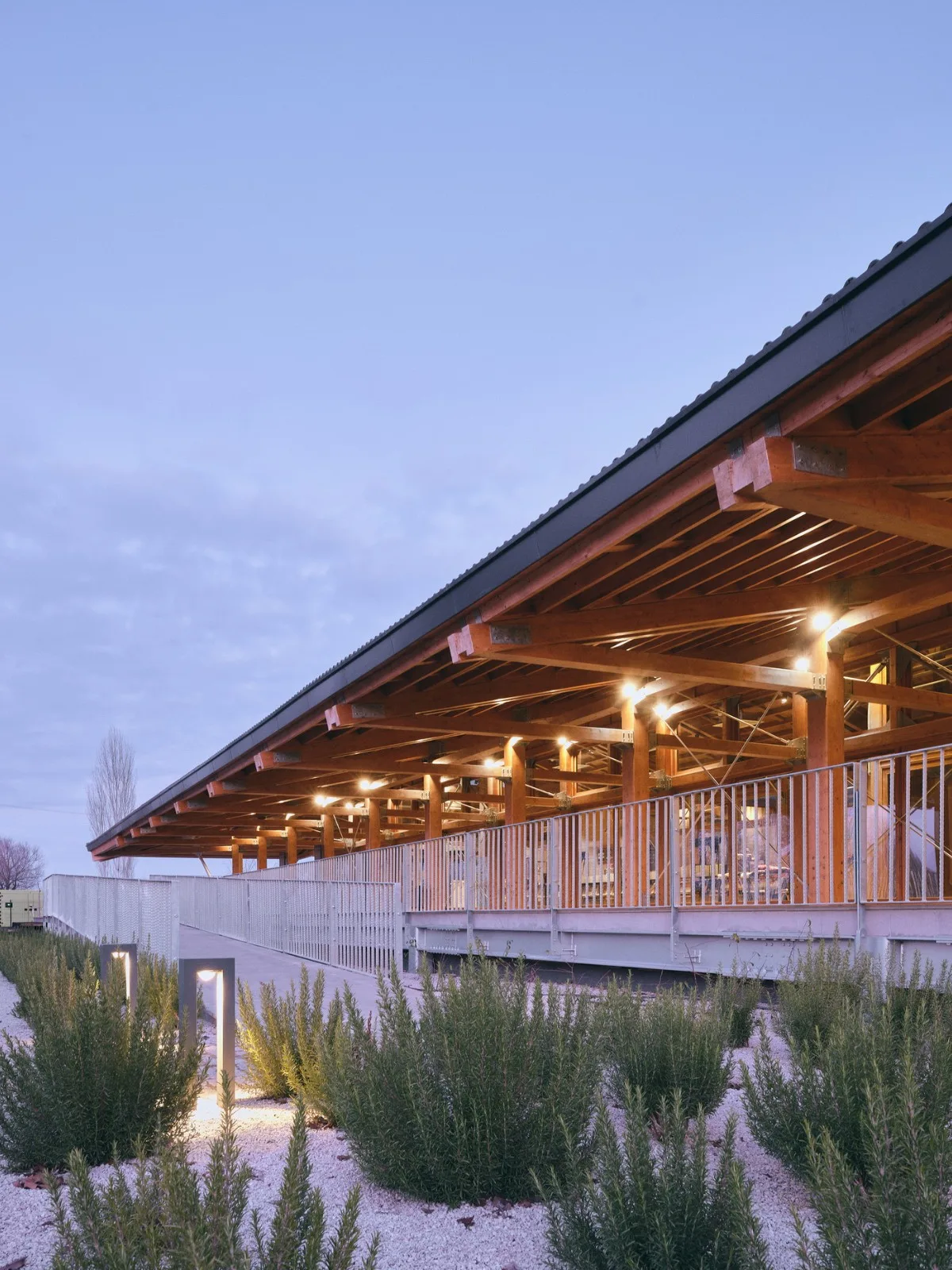 BIM Architecture | Chatahoyuk Visitor Center/TEGET