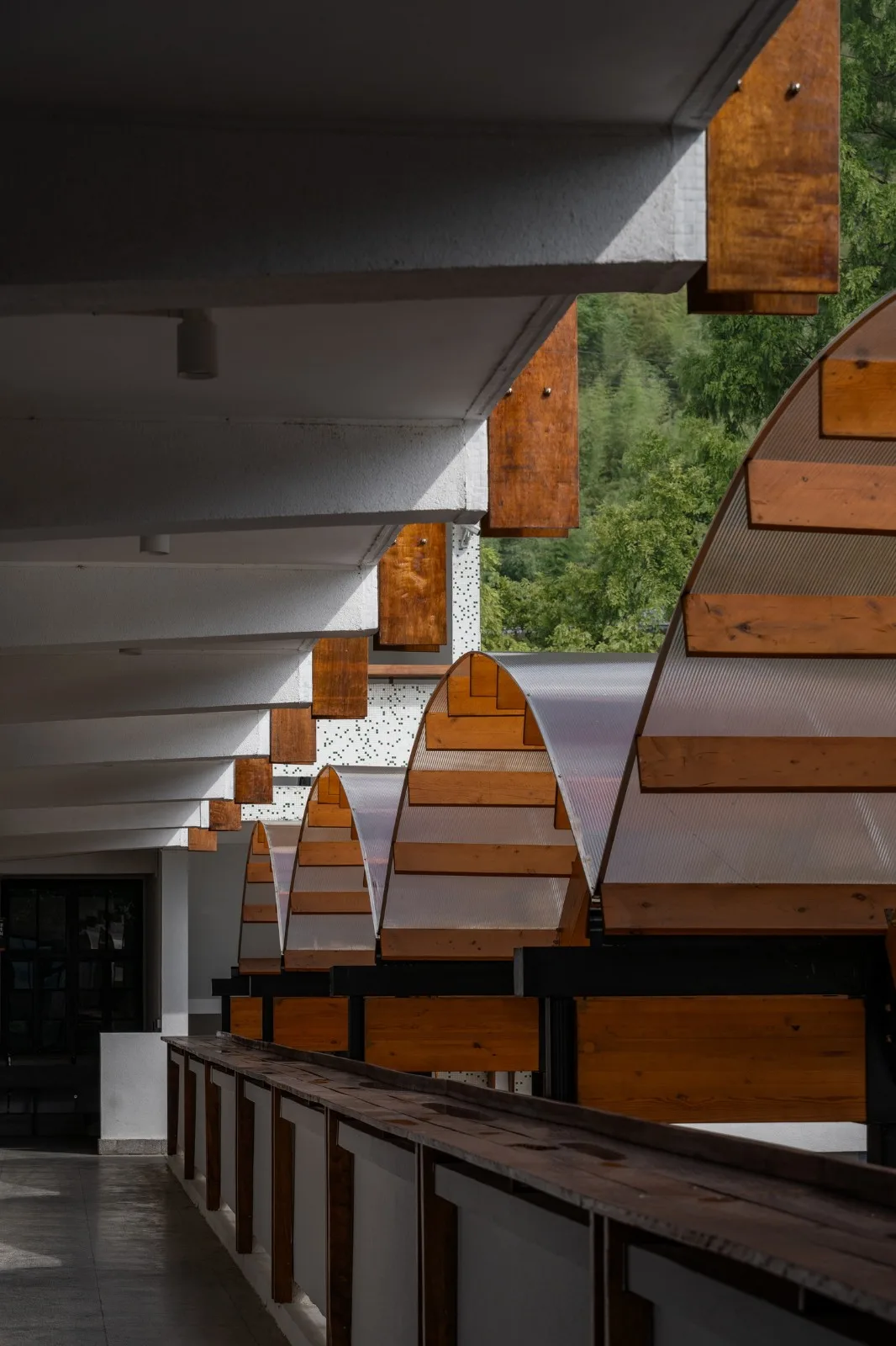 BIM Architecture | Shaoxing Sun'ao Primary School Renovation/Construction of Buildings