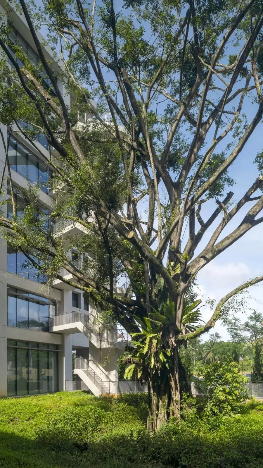 BIM Architecture | Unleashing the Future Form of Garden Office: Surbana Jurong Campus/Surbana Group Headquarters