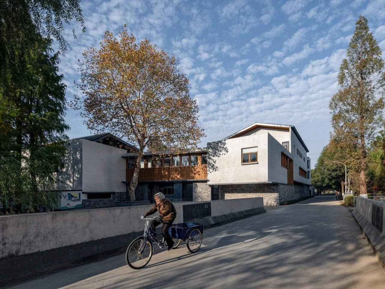 BIM Architecture | Longnan Village Party and Mass Center/Forest Building