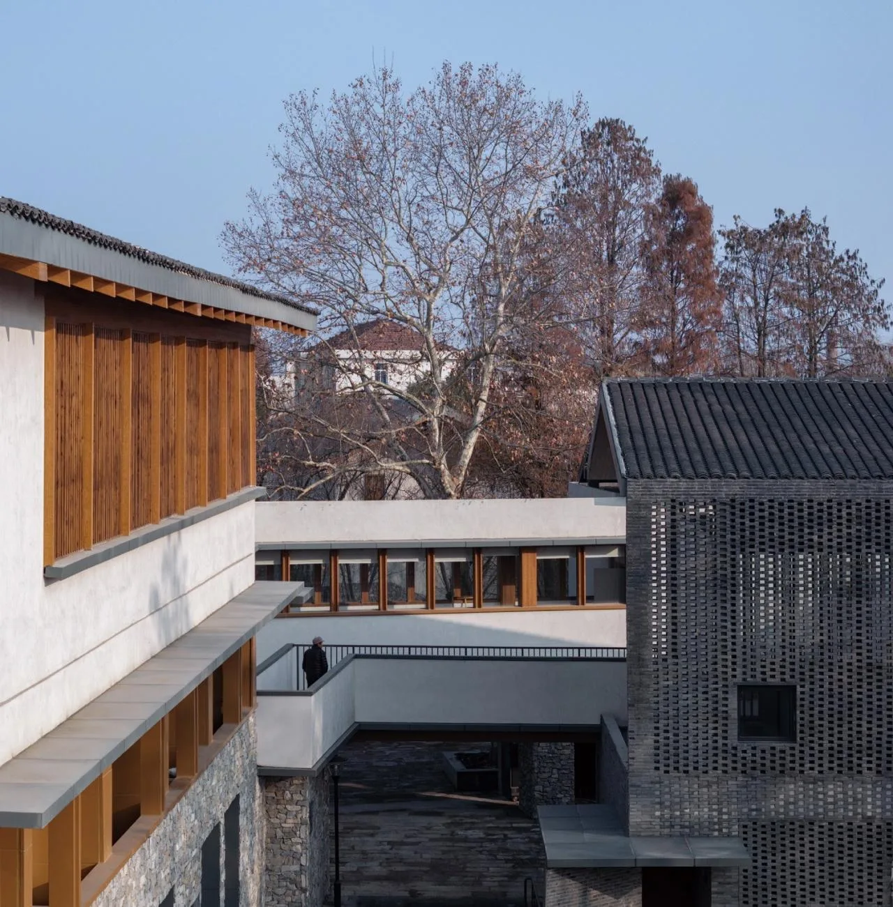 BIM Architecture | Longnan Village Party and Mass Center/Forest Building