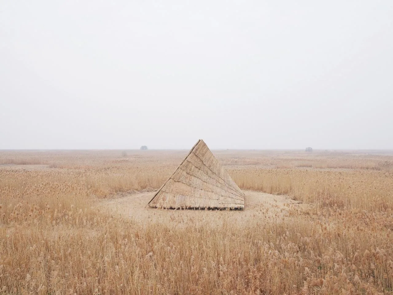 BIM Architecture | Healing Mountain/Du Yang Studio