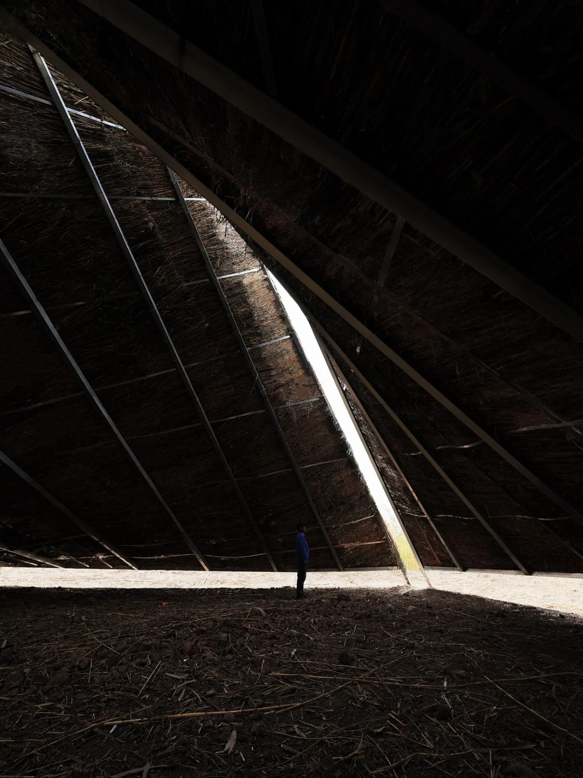 BIM Architecture | Healing Mountain/Du Yang Studio