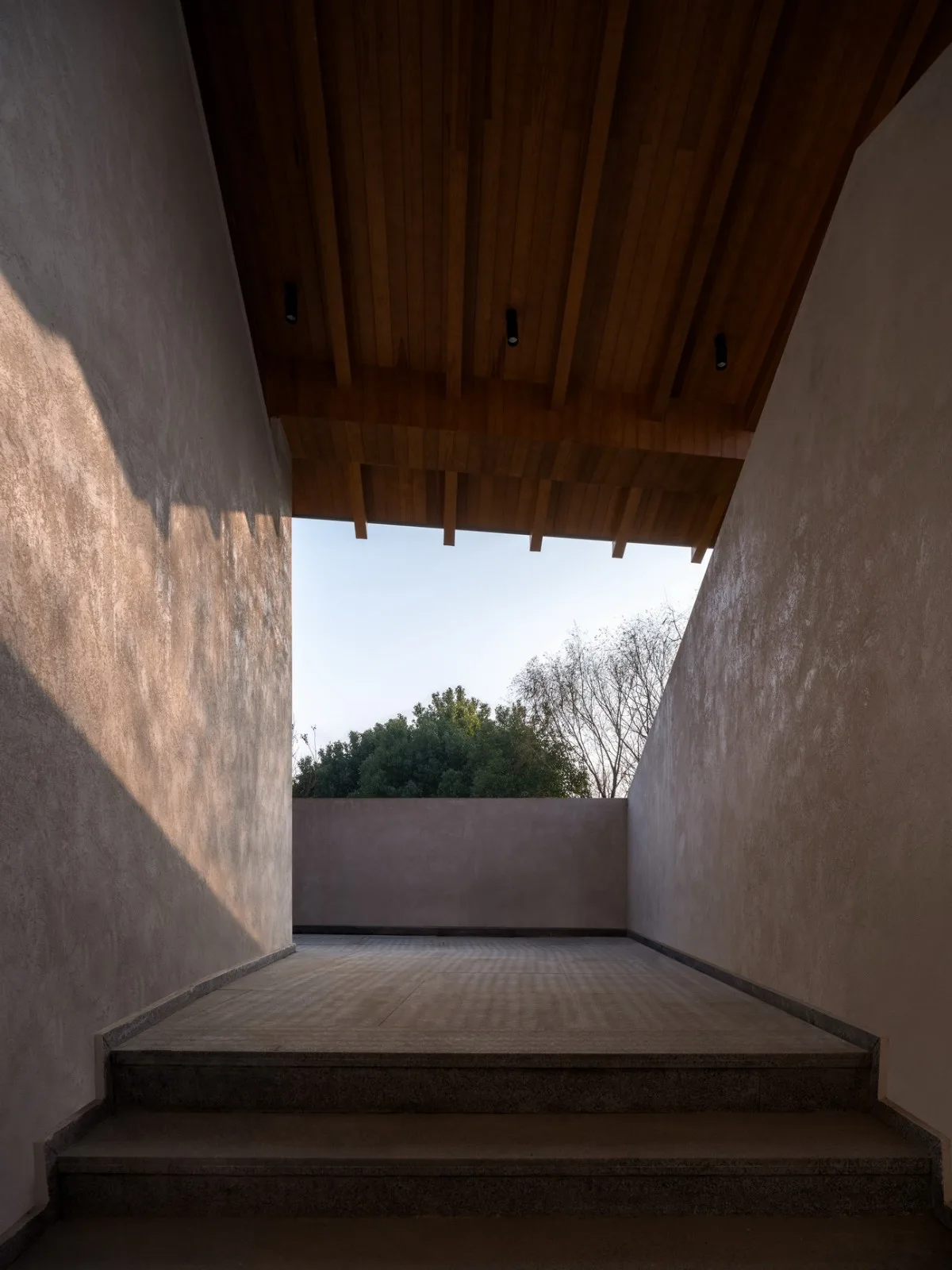 BIM Architecture | Longnan Village Bohong Bookstore/Forest Building