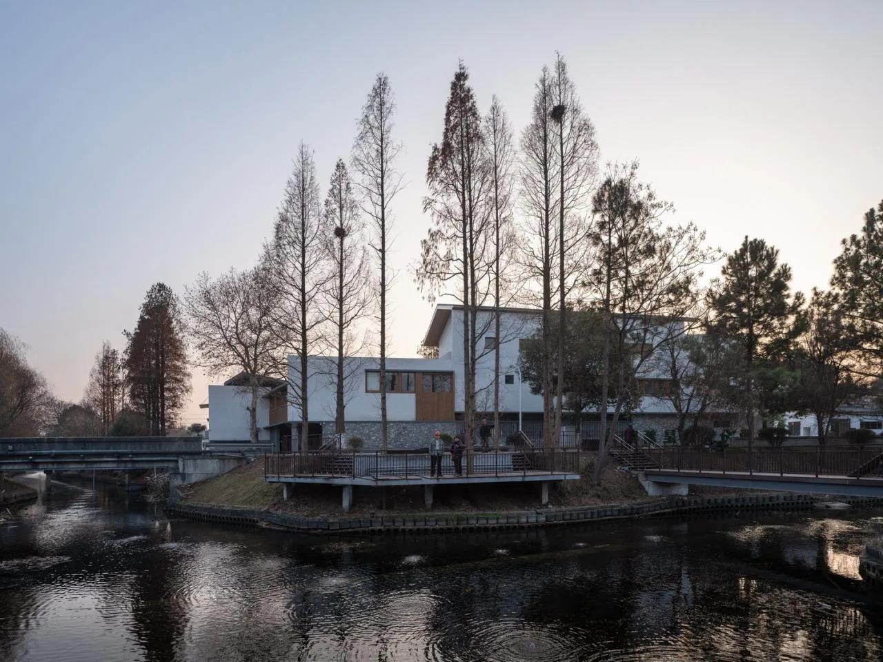BIM Architecture | Longnan Village Party and Mass Center/Forest Building