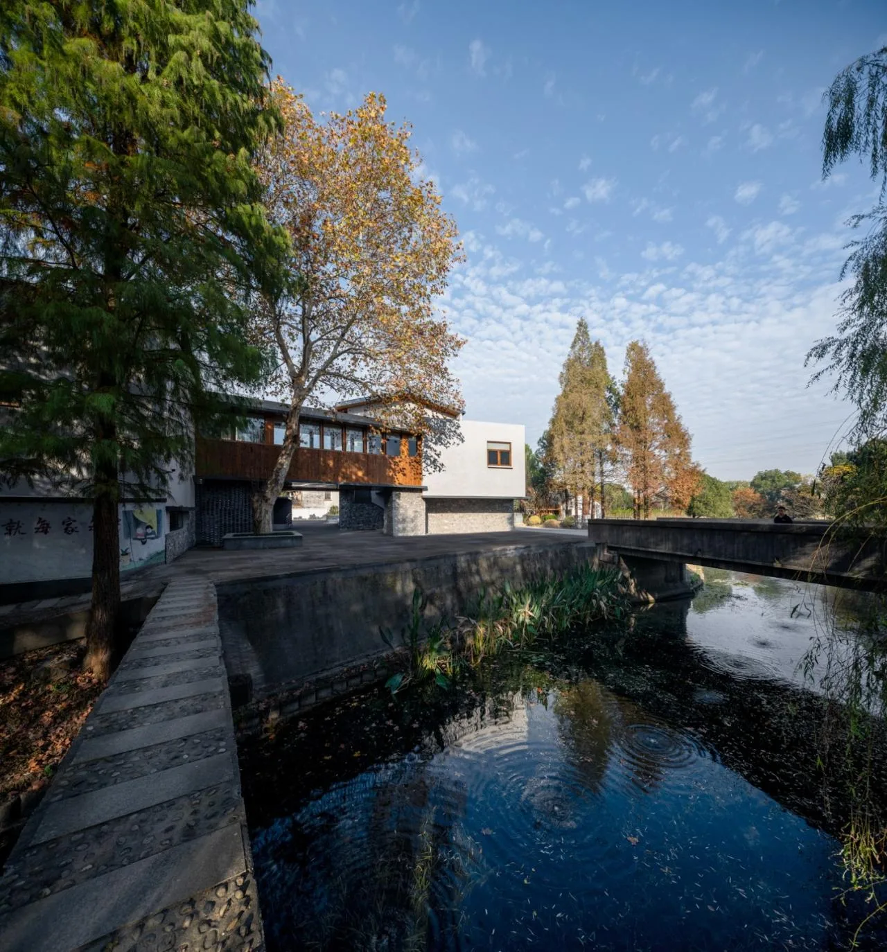 BIM Architecture | Longnan Village Party and Mass Center/Forest Building