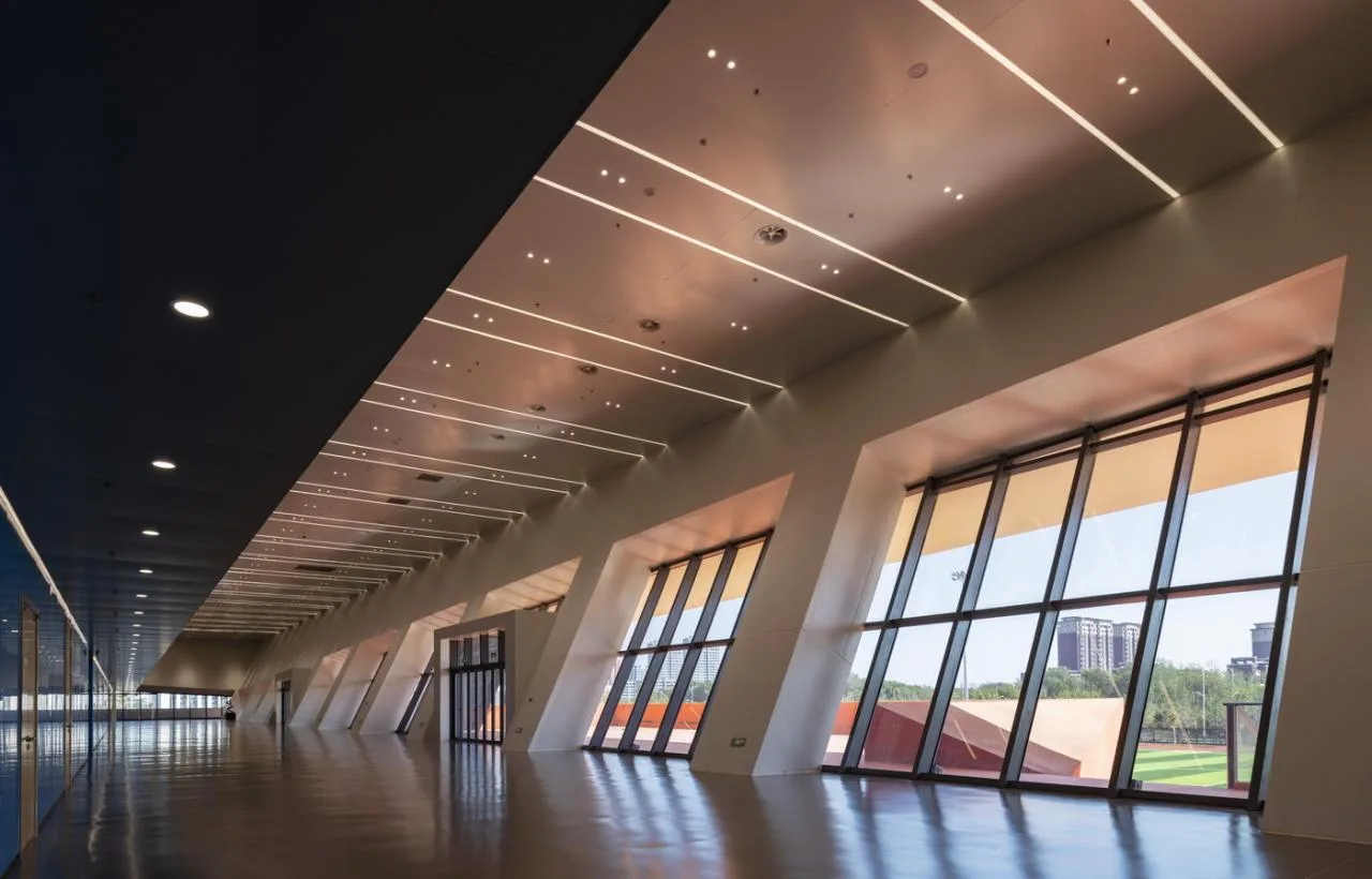 BIM Architecture | White Egrets Fly Together Wetland Exhibition Wings: Bohai University Sports Center/Chinese Academy of Sciences Architectural Design and Research Institute Co., Ltd