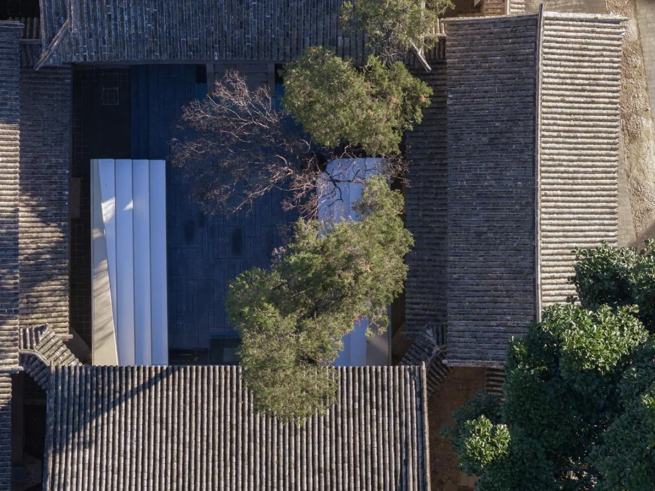 BIM Architecture | Pioneer Weishan Chongzheng Academy/Jing · Architectural Firm (TAO)