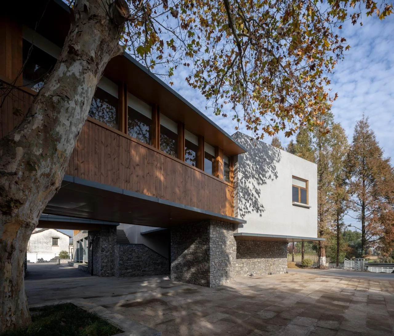 BIM Architecture | Longnan Village Party and Mass Center/Forest Building