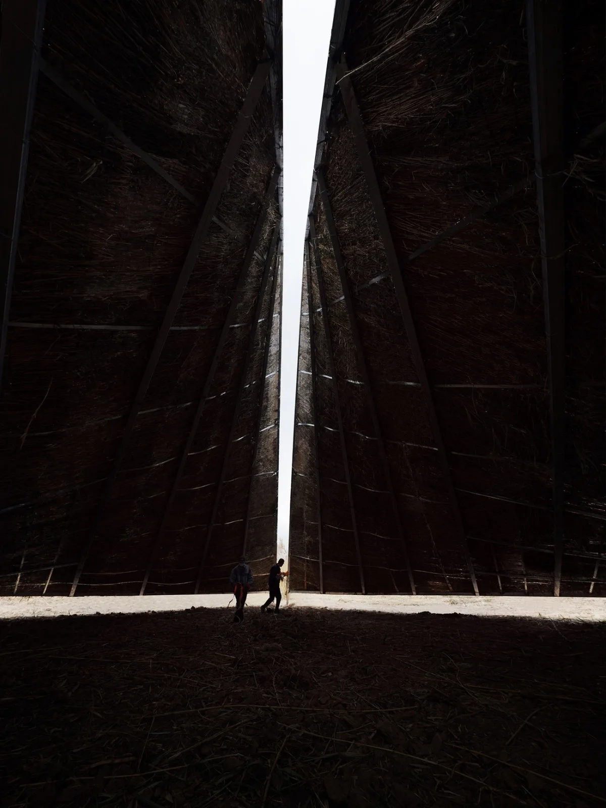 BIM Architecture | Healing Mountain/Du Yang Studio