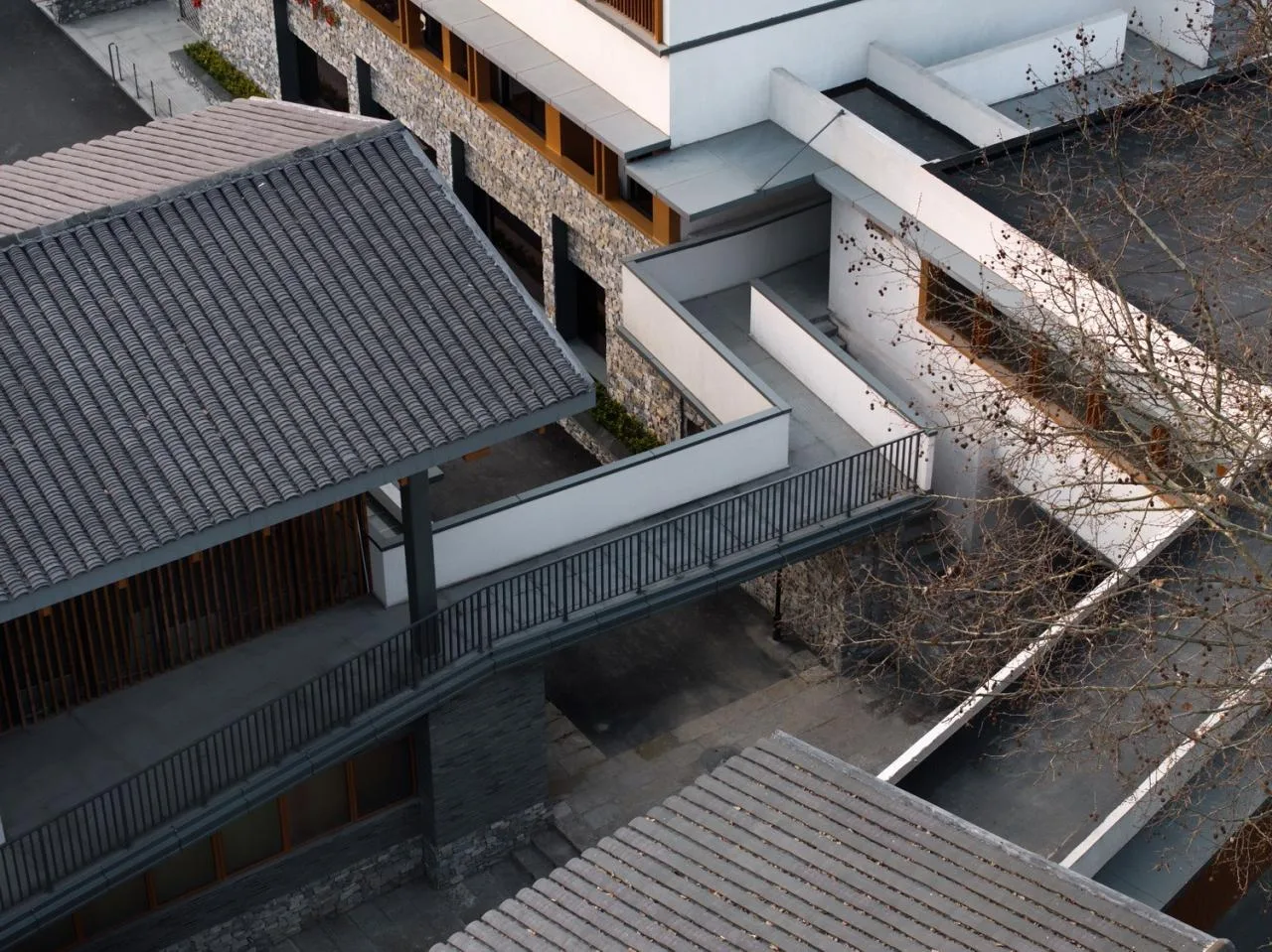 BIM Architecture | Longnan Village Party and Mass Center/Forest Building