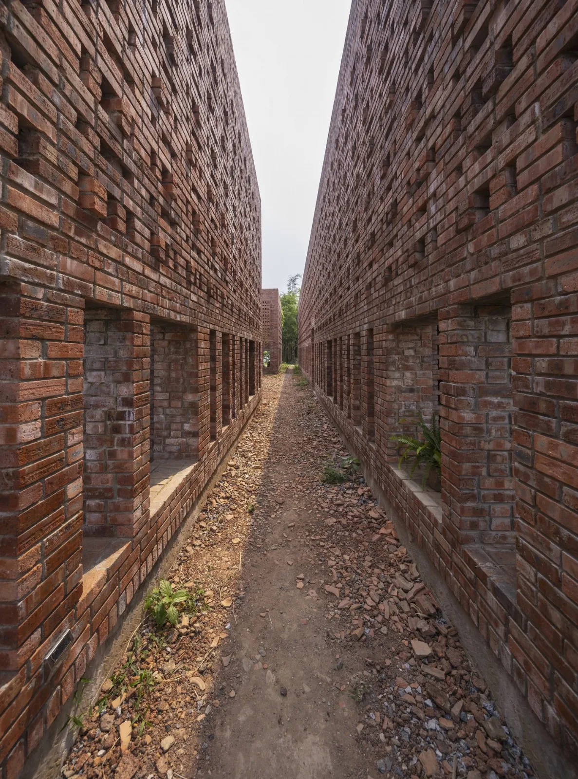 BIM Architecture | Terracotta Warriors Studio/Tropical Space