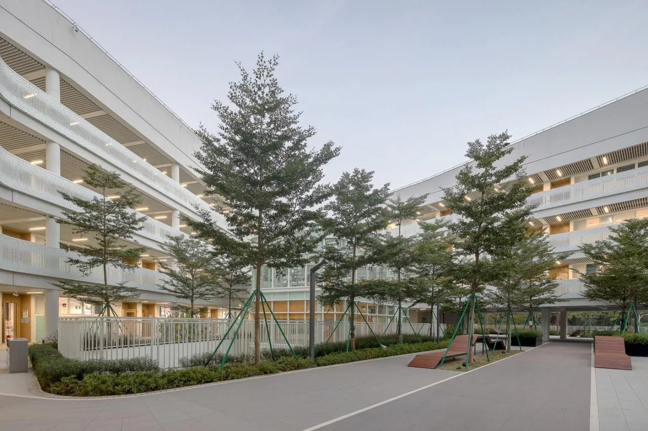 BIM Architecture | Southern University of Science and Technology Affiliated Experimental School/Cube Design