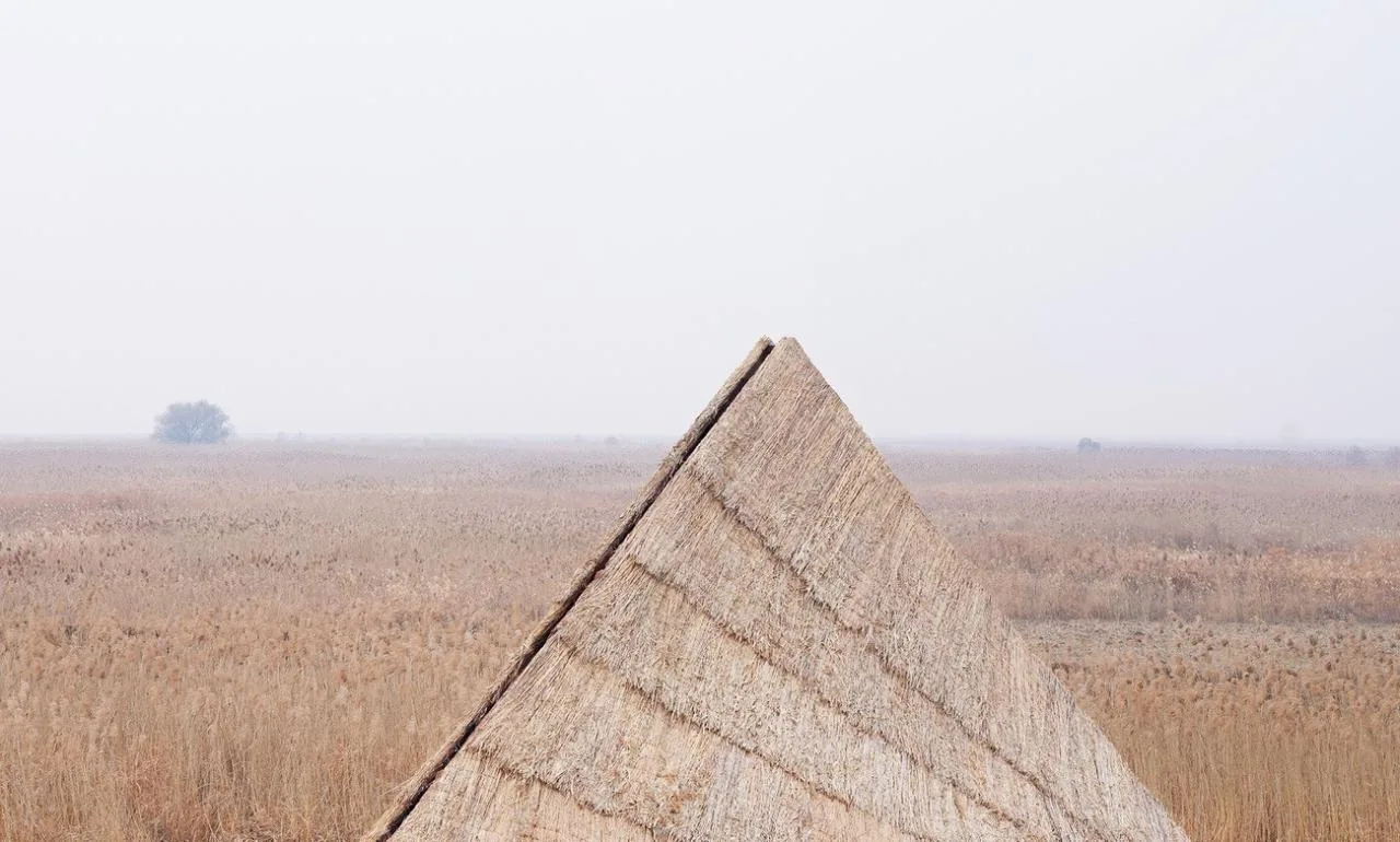 BIM Architecture | Healing Mountain/Du Yang Studio