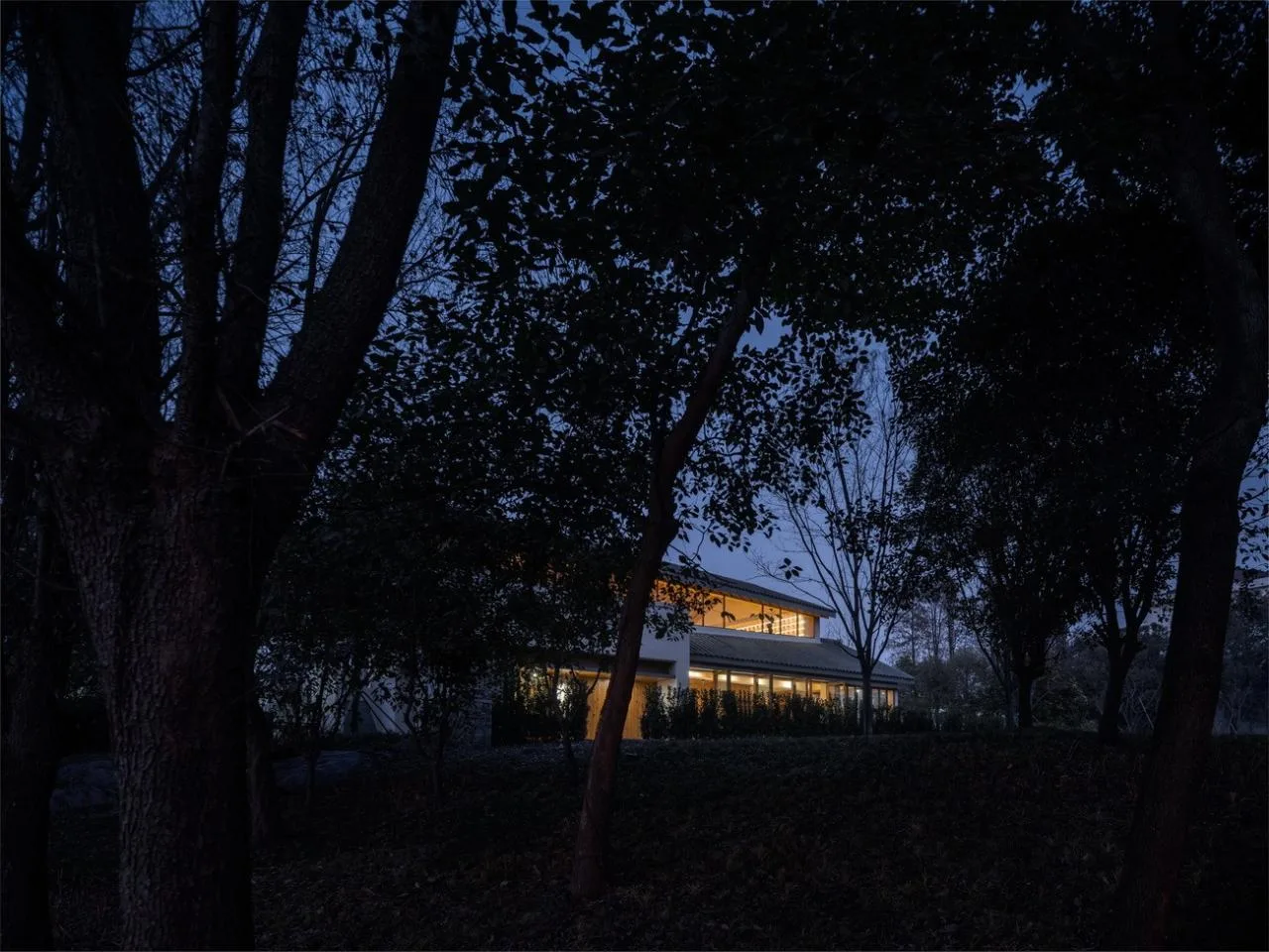 BIM Architecture | Longnan Village Bohong Bookstore/Forest Building