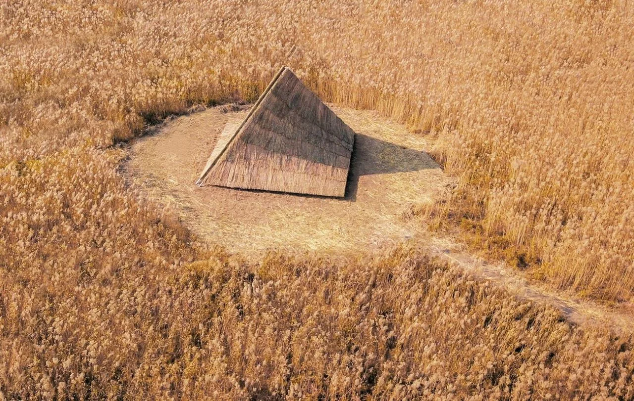 BIM Architecture | Healing Mountain/Du Yang Studio