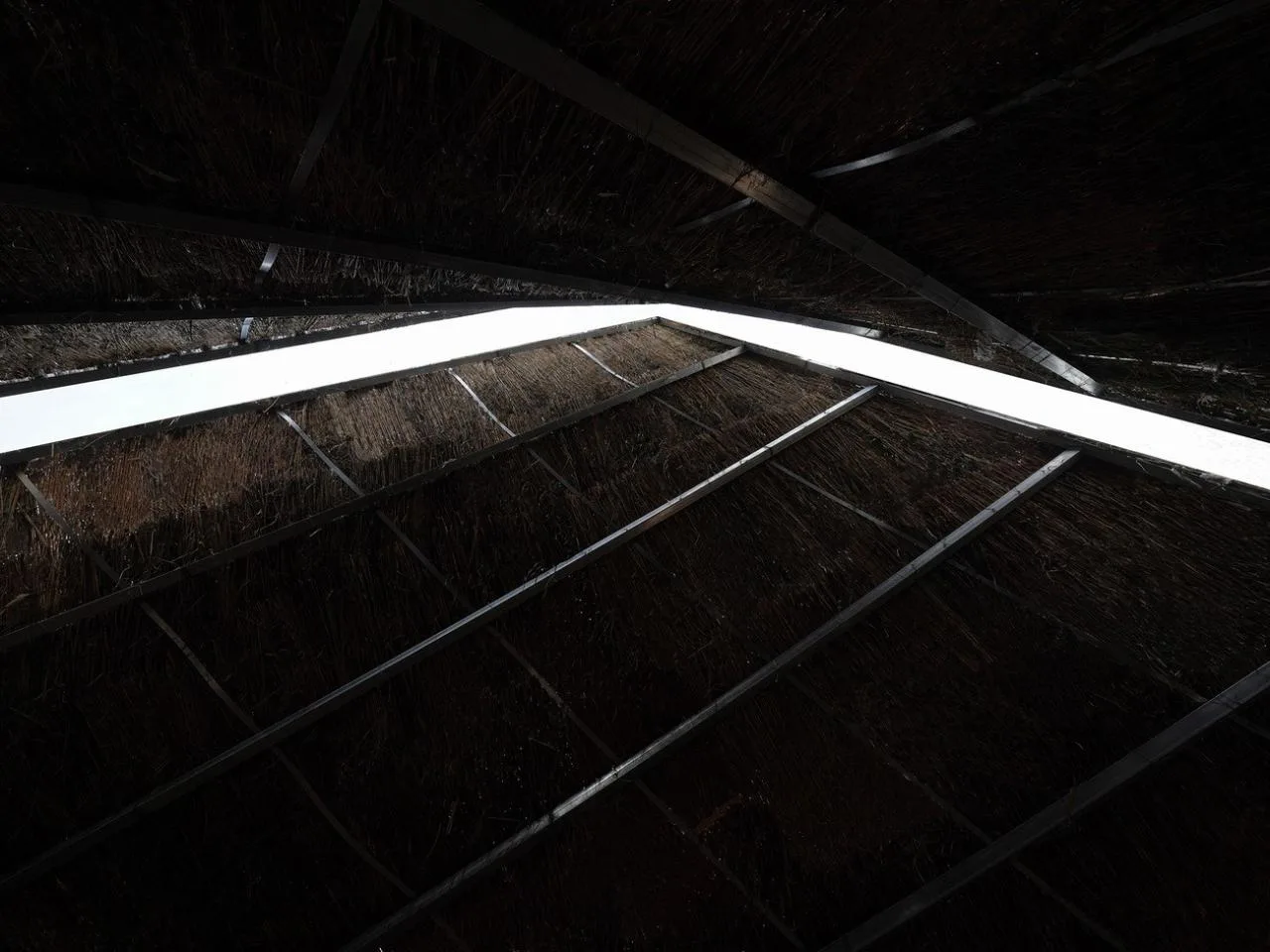 BIM Architecture | Healing Mountain/Du Yang Studio