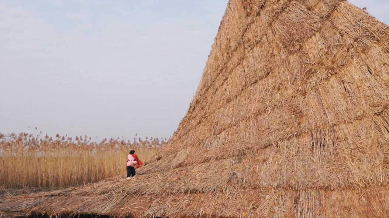 BIM Architecture | Healing Mountain/Du Yang Studio